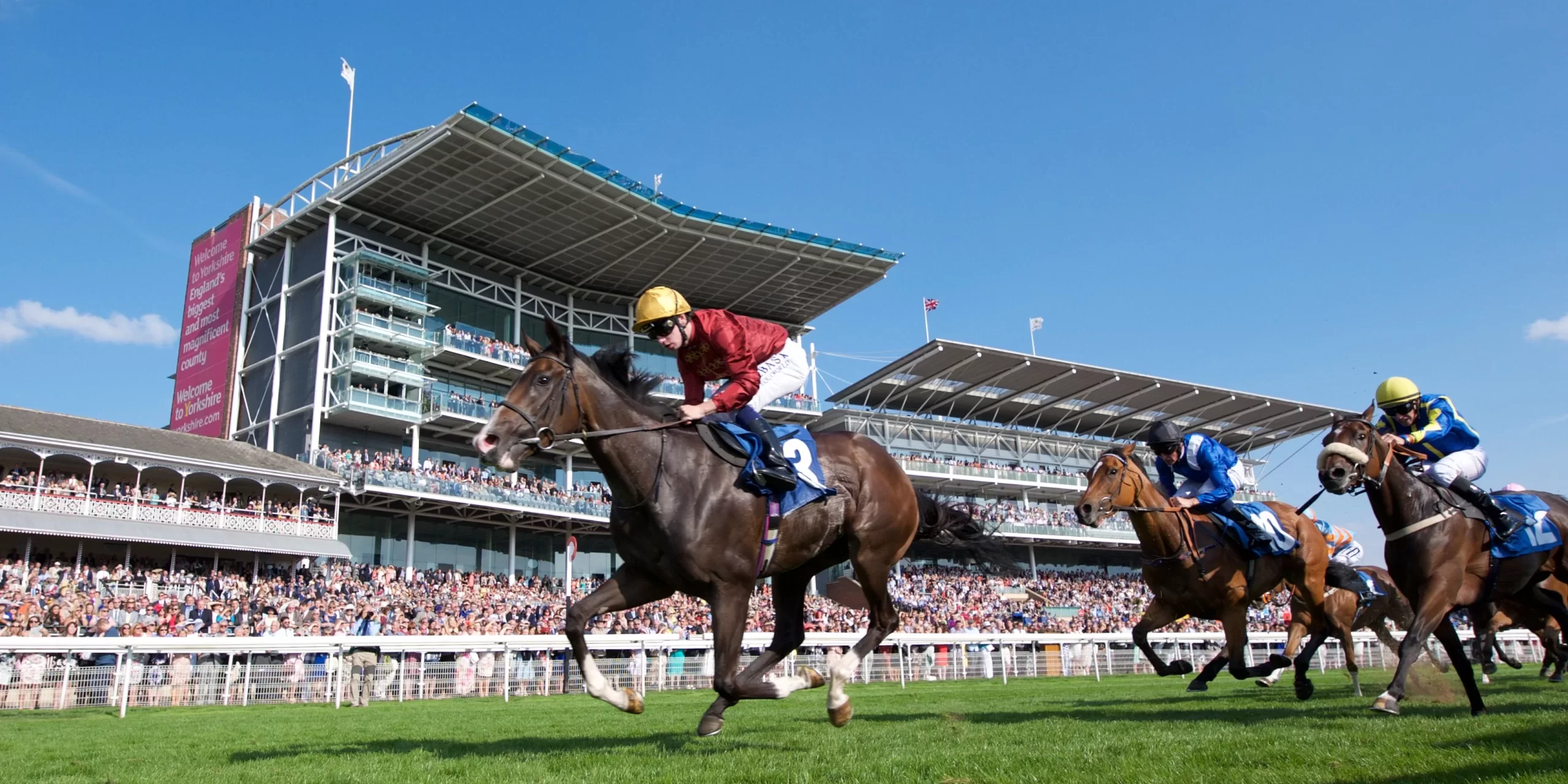 york races